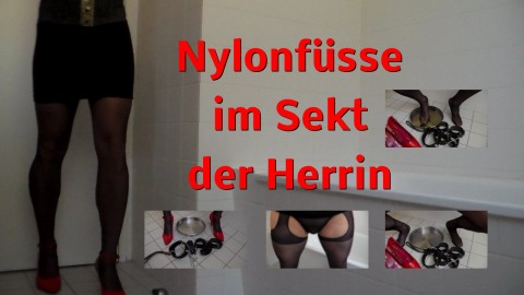 Nylonfüsse im Sekt der Herrin