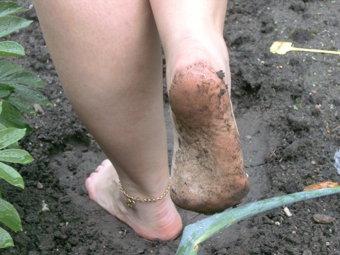 Trauminsocken spielt im Garten