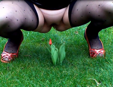 Tulpe mit NS begossen