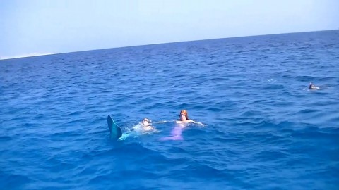 MerMaids