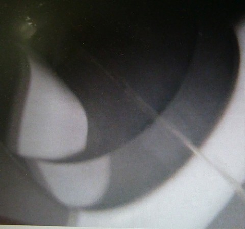 champagne-1