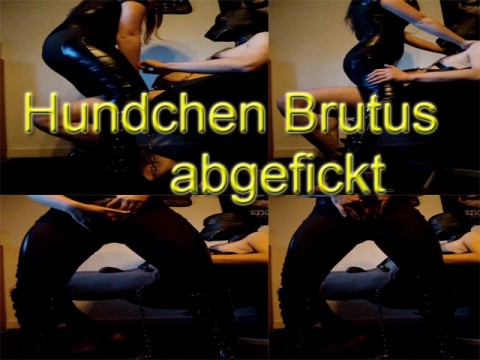 Hundchen Brutus abgefickt